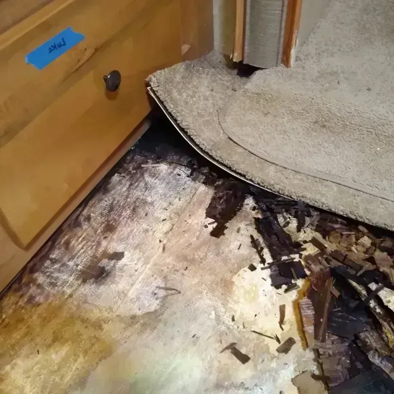 Wood Floor Water Damage in Greenville, NY